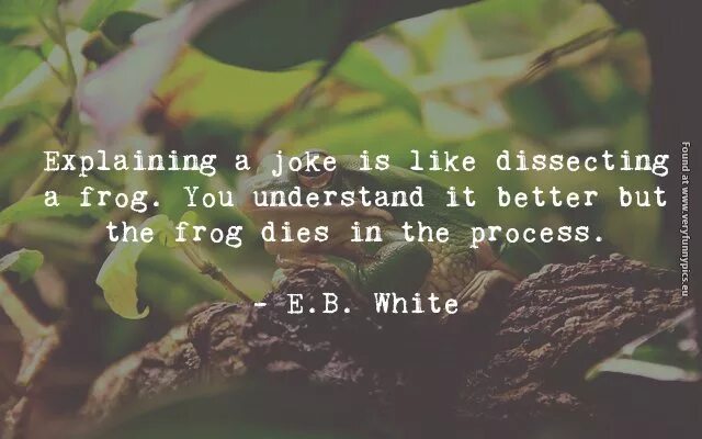 Do you understand something. You understand. do you understand me. i understand you. joke me like.
