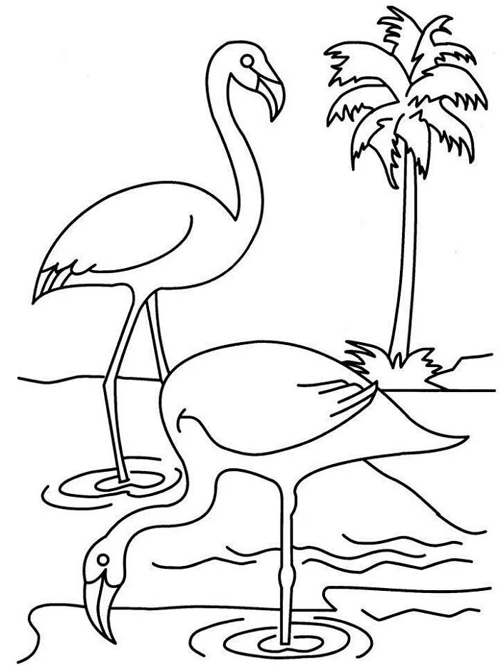 Kleurplaat Kleurplaten, Prints, Vogels