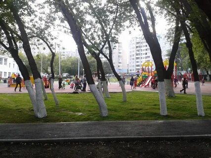 Сквер школы