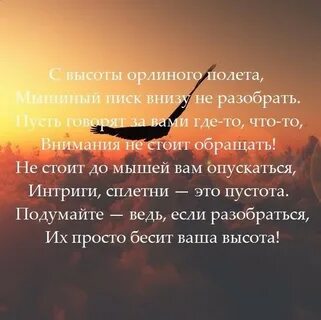 Полет афоризм