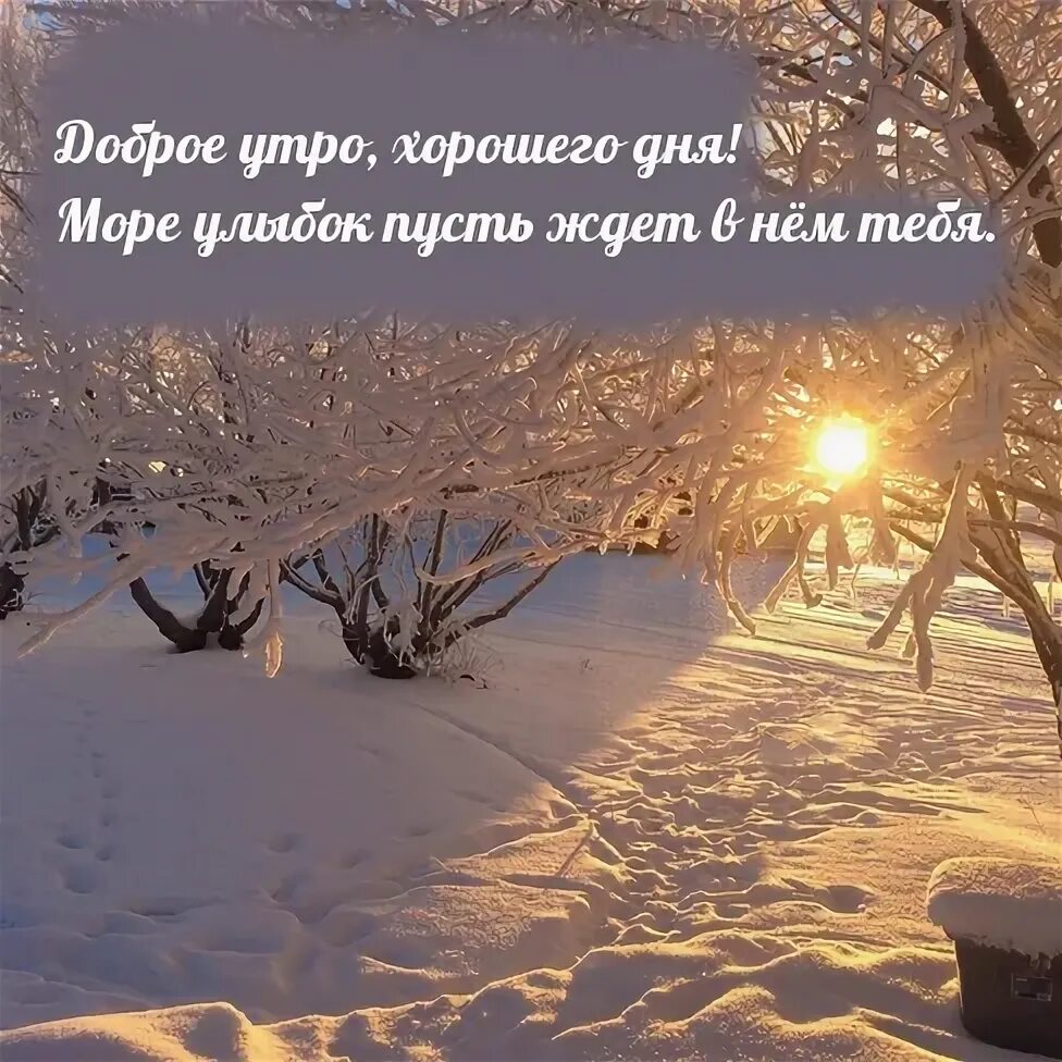 С добрым утром зимние прикольные и позитивные. Доброе утро удачного дня снег. Доброе зимнее утро. Доброе утро зима. Доброе морозное утро.