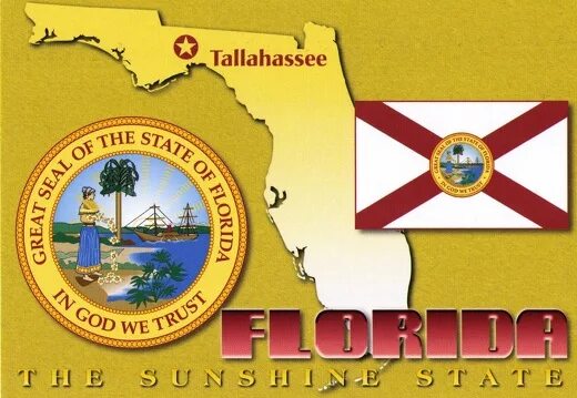 Florida Sunshine State. Florida Sunshine State Map. Florida Postcard. Florida Sunshine State cartoon.