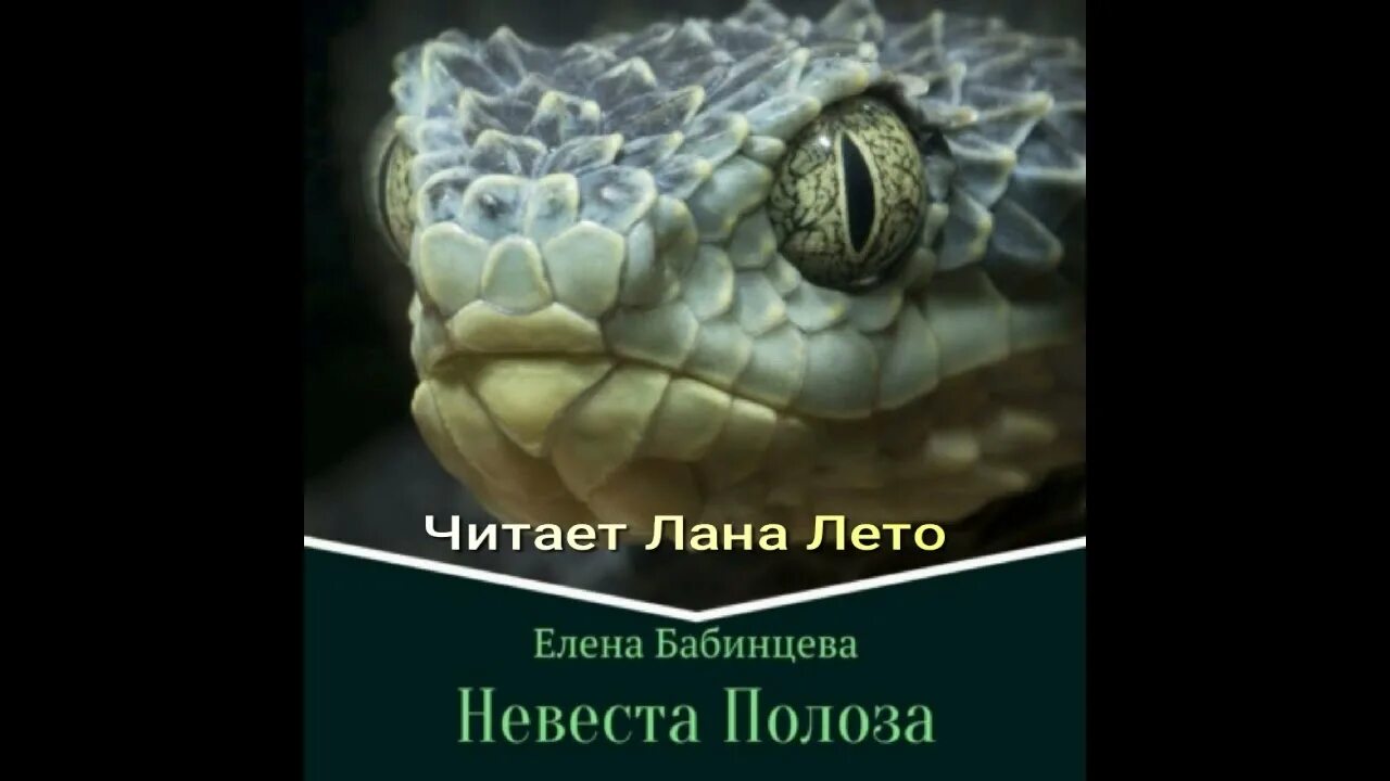 Невеста полоза слушать. Невеста Полоза книга. Невеста Полоза аудиокнига.