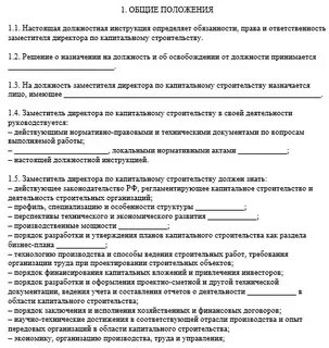 Заместитель директора по развитию должностная инструкция
