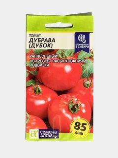 Дубок томат описание сорта характеристика