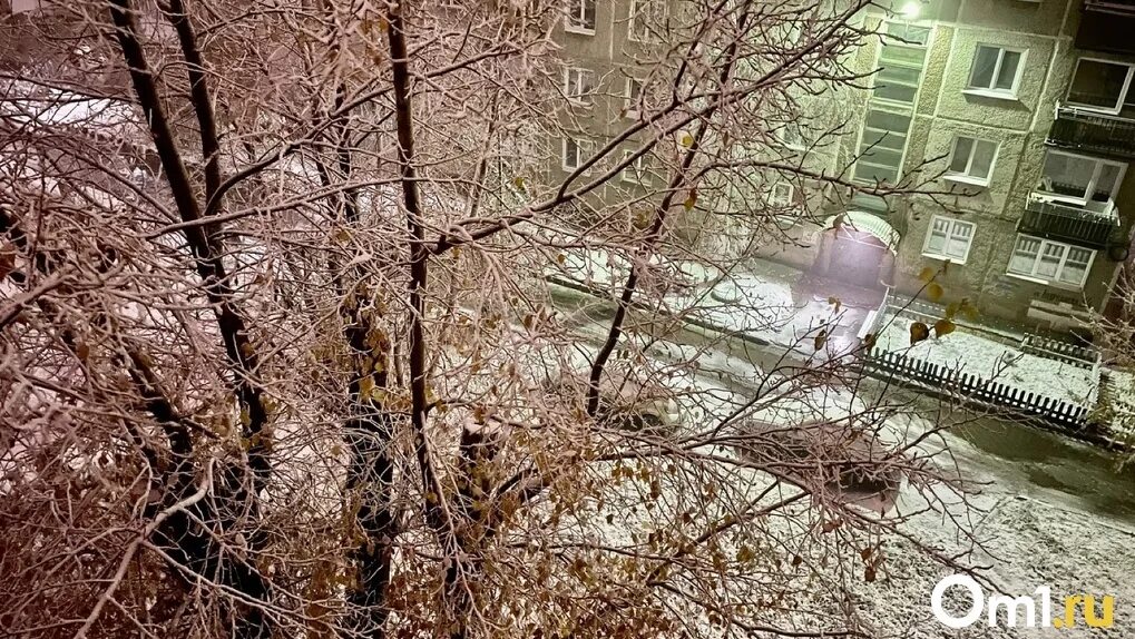 Снег выпавший ночью и еще не изборожденный. Первый снег. Снег в городе. Первый снег в городе. Первый снег в городе фото.