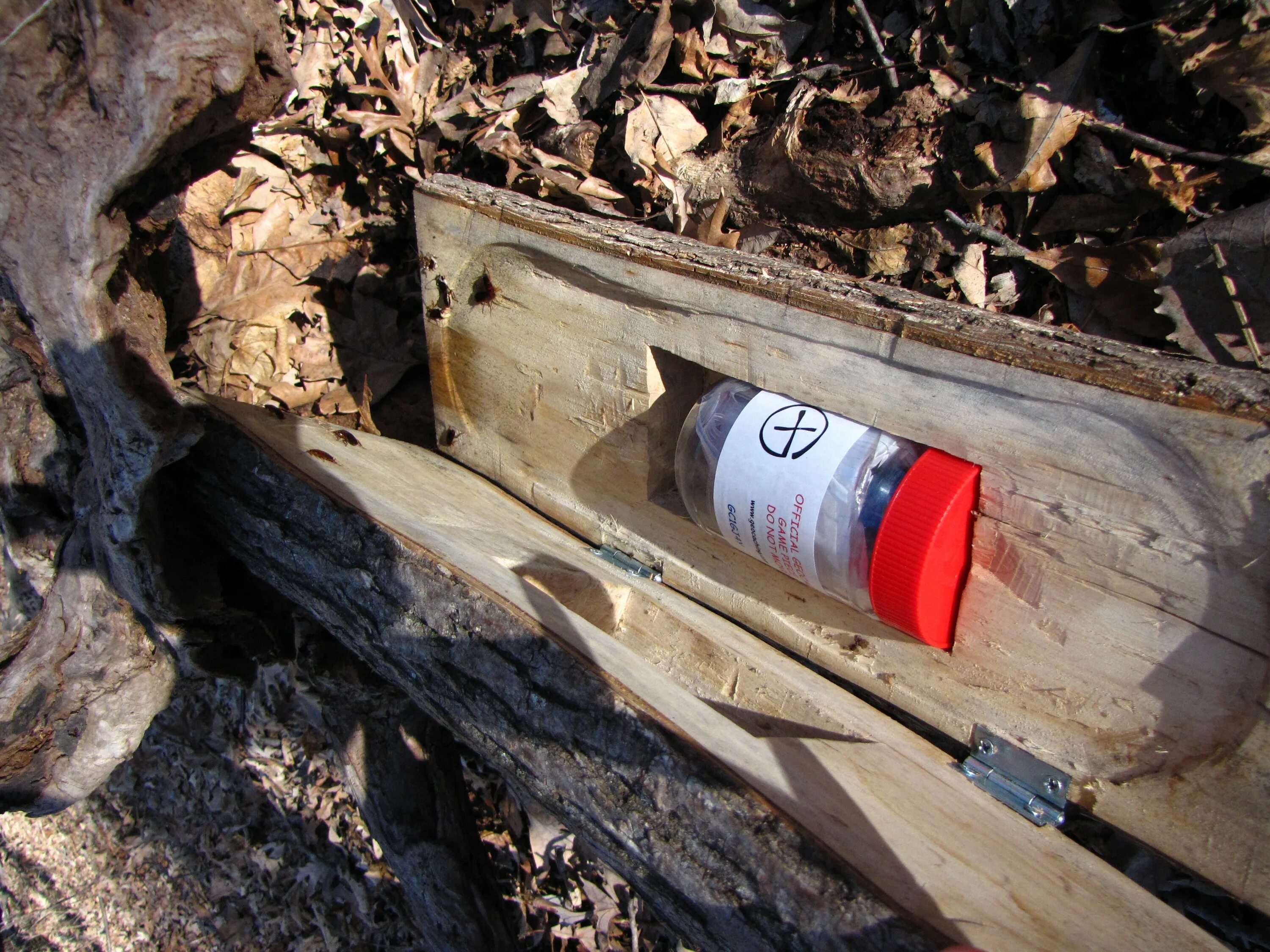 Тайник на даче. Тайник в земле. Схрон с едой. Тайник схрон. Тайник схрон.