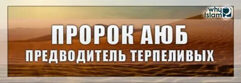 Пророк аюб