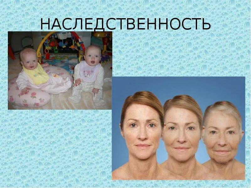Мини проект моя наследственность сходство между родными. Генетика наследственность. наследственность картинки. физиологическая наследственность. наследственность внешность.