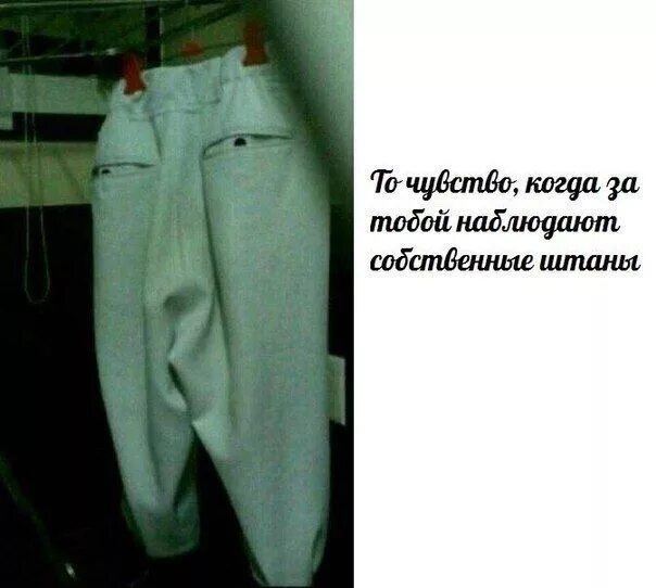 Анекдоты про штаны. Шутки про пифагора. Влюбиться это как в штаны наложить. Стихотворение по геометрии. Рубашка в брючки брючки в носочки носочки в сандалики.