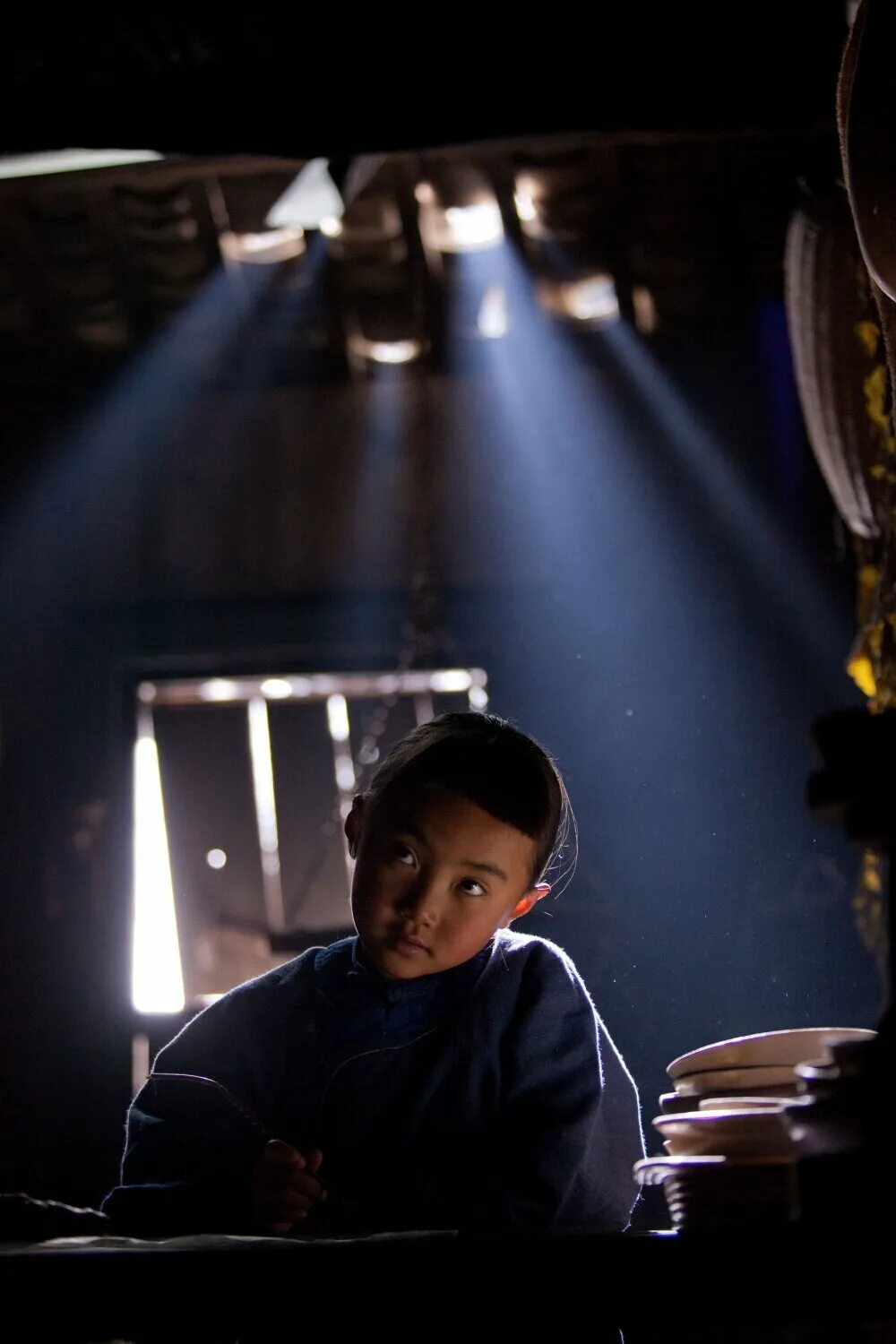 снежный цветок 2011