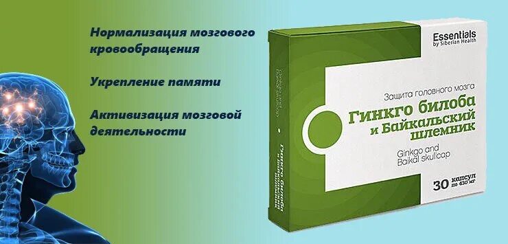 Кровообращение нормализация. Байкальский шлемник Сибирское здоровье. Гинкго билоба и Байкальский шлемник Сибирское. Гинкго билоба Siberian Wellness. Гинкго билоба Сибирское здоровье.