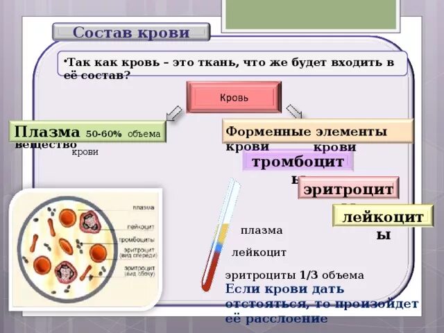 Содержит плазму и форменные элементы. Плазма и форменные элементы крови. состав крови форменные элементы. кровь и ее состав. состав крови плазма и форменные элементы.