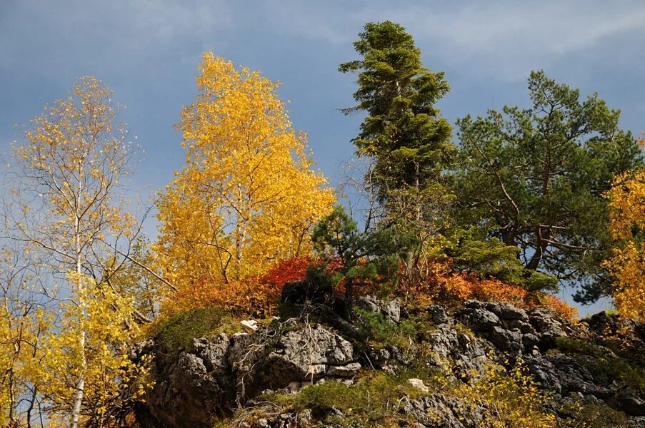 Природа осень краснодарский край. Природа краснодарского края. Краснодар горы. Посёлок псебай краснодарского края. Осень в краснодарском лесу.