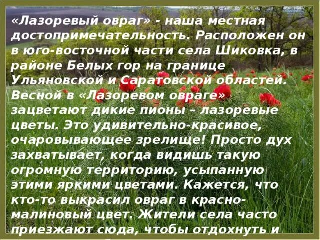 Синоним к слову лазоревые. Лазоревый цветок когда цветет. Растения Саратовской области Лазоревый цветок. Лазоревый это в литературе.