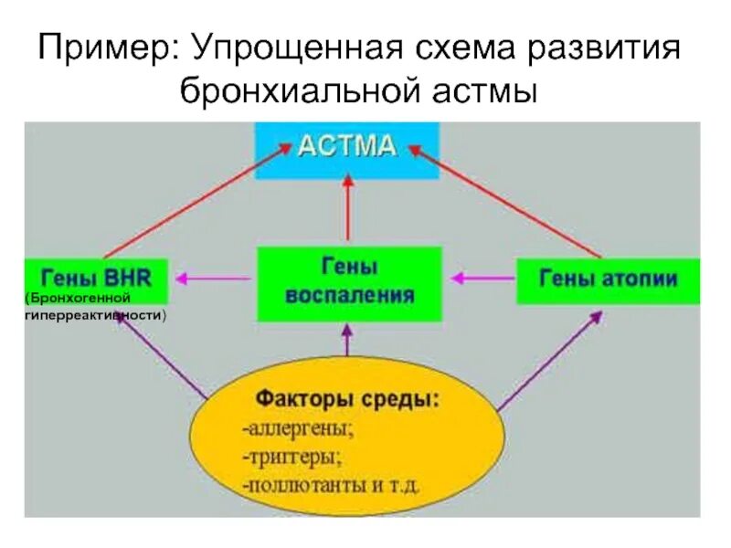 Наследственный фактор развития бронхиальной астмы. Средовые факторы бронхиальной астмы. Генотипы бронхиальной астмы. Генетические факторы бронхиальной астмы. Наследственное взаимодействие