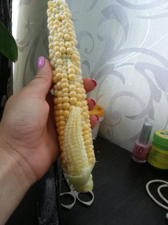Анька кукуруза. Кукурузин. Не ходите девки большая кукурузина. Большая кукурузина частушки. Смешная кукурузина.