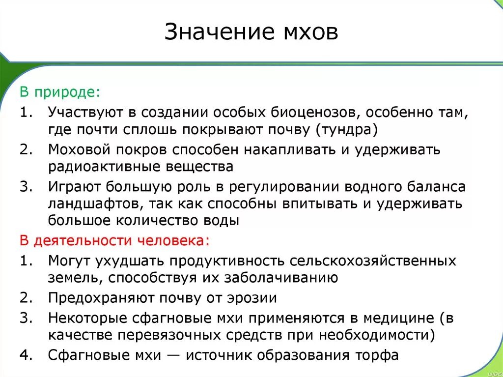 Каково значение мхов в природе 7 класс. Значение мхов в природе и жизни человека. Значение мхов в природе. Отдел Моховидные значение. Общая характеристика мхов.