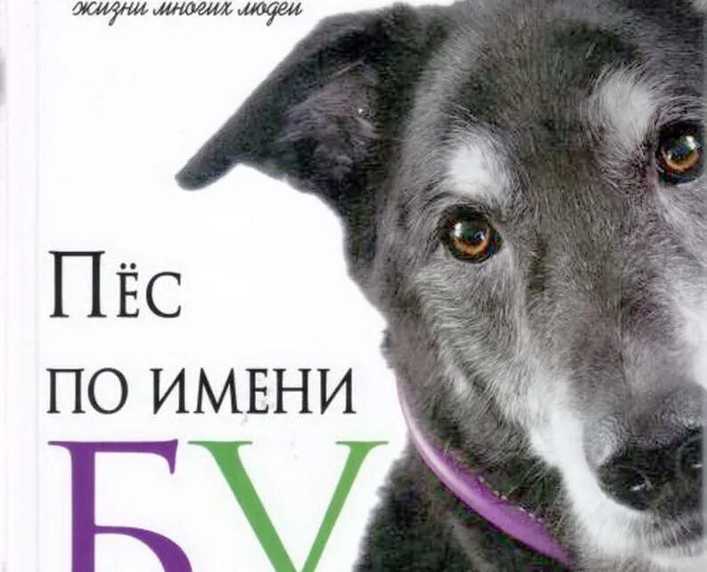 Собака по имени бу. Я и мой пес. Мой пес книга. Мой пес книга. Книга муса джалиль мой пес.