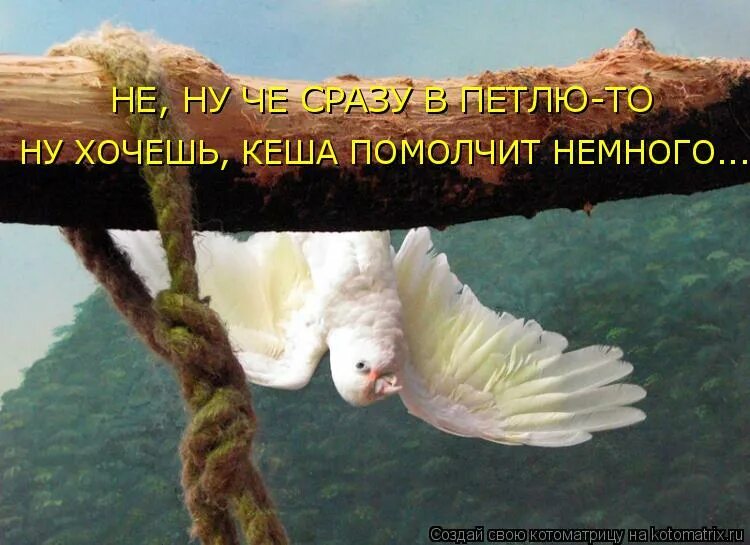 Программа приведи друга. All cash мем. Mschf x crocs. Захотела кэш получила. Захотела кэш получила.