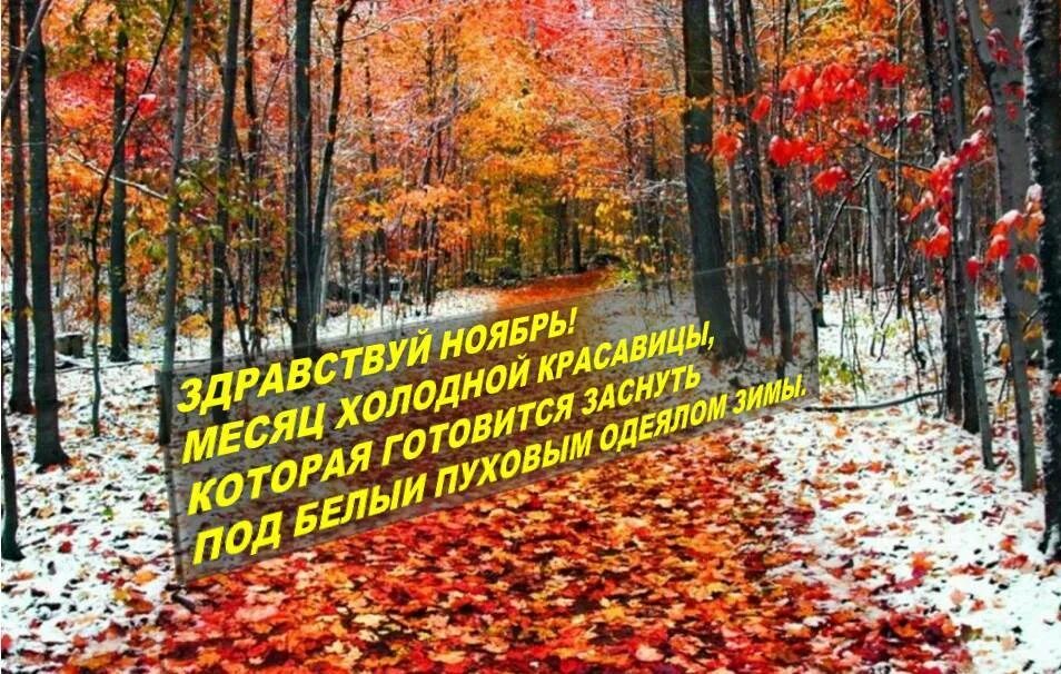 Придет ноябрь. Здравствуй ноябрь картинки. До свидания октябрь Здравствуй ноябрь. Ноябрь картинки с надписями. Ноябрь November Здравствуй.