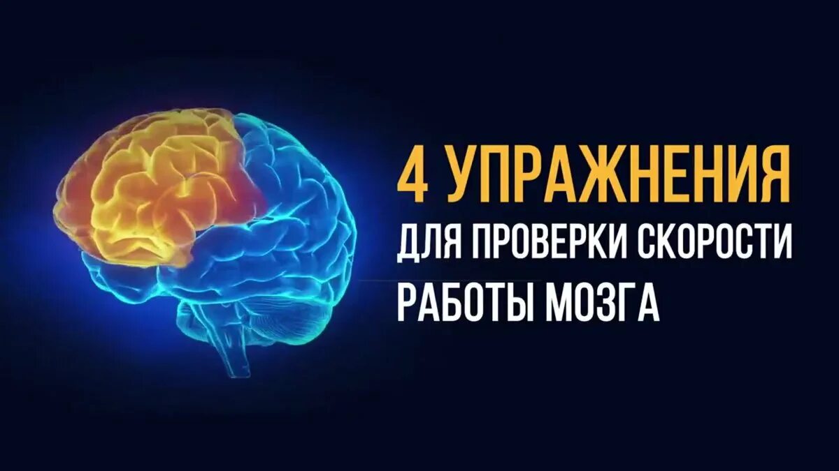 Развитие мозга упражнения. Четыре упражнения для мозга. Упражнения для проверки скорости работы мозга. Когнитивные упражнения для мозга. 4 Упражнения для проверки скорости мозга.