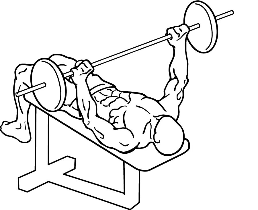 Жим узким хватом техника выполнения. Жим штанги лежа. Decline Bench Press упражнение. Barbell Flat Bench Press. Decline Barbell Bench Press.