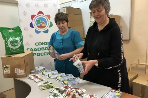 Союз семенов