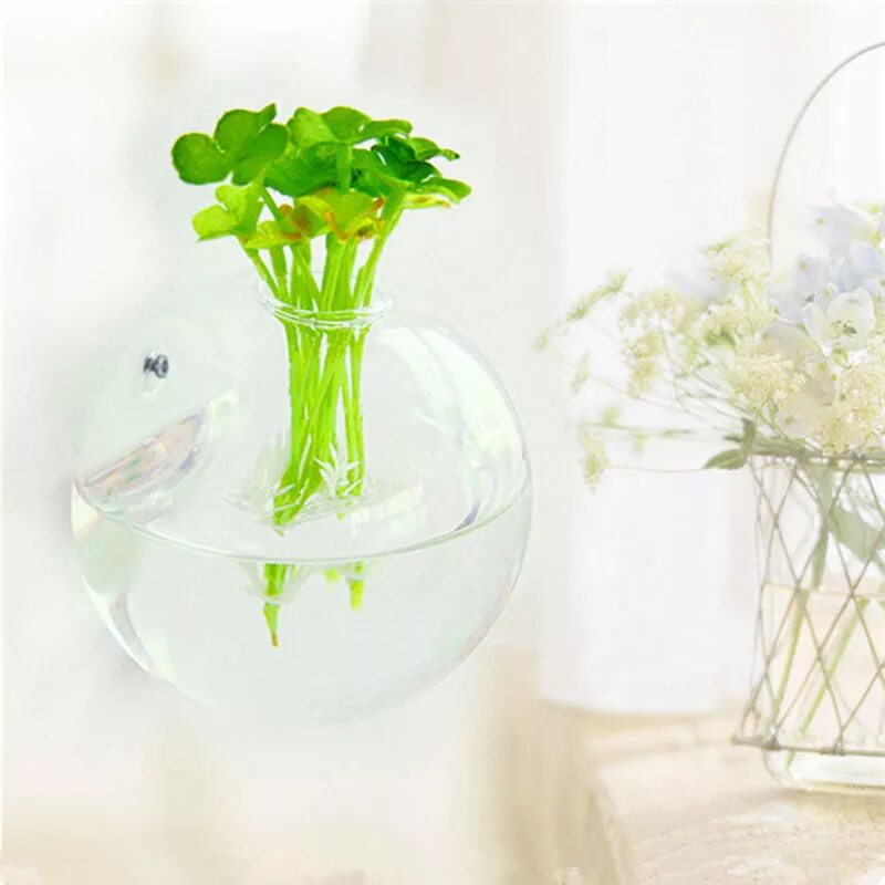 Из красивых ваз висевший воздухе. Glass Vase шар. Стеклянные горшки для цветов. Стеклянные вазы для цветов. Настенные вазы для цветов.