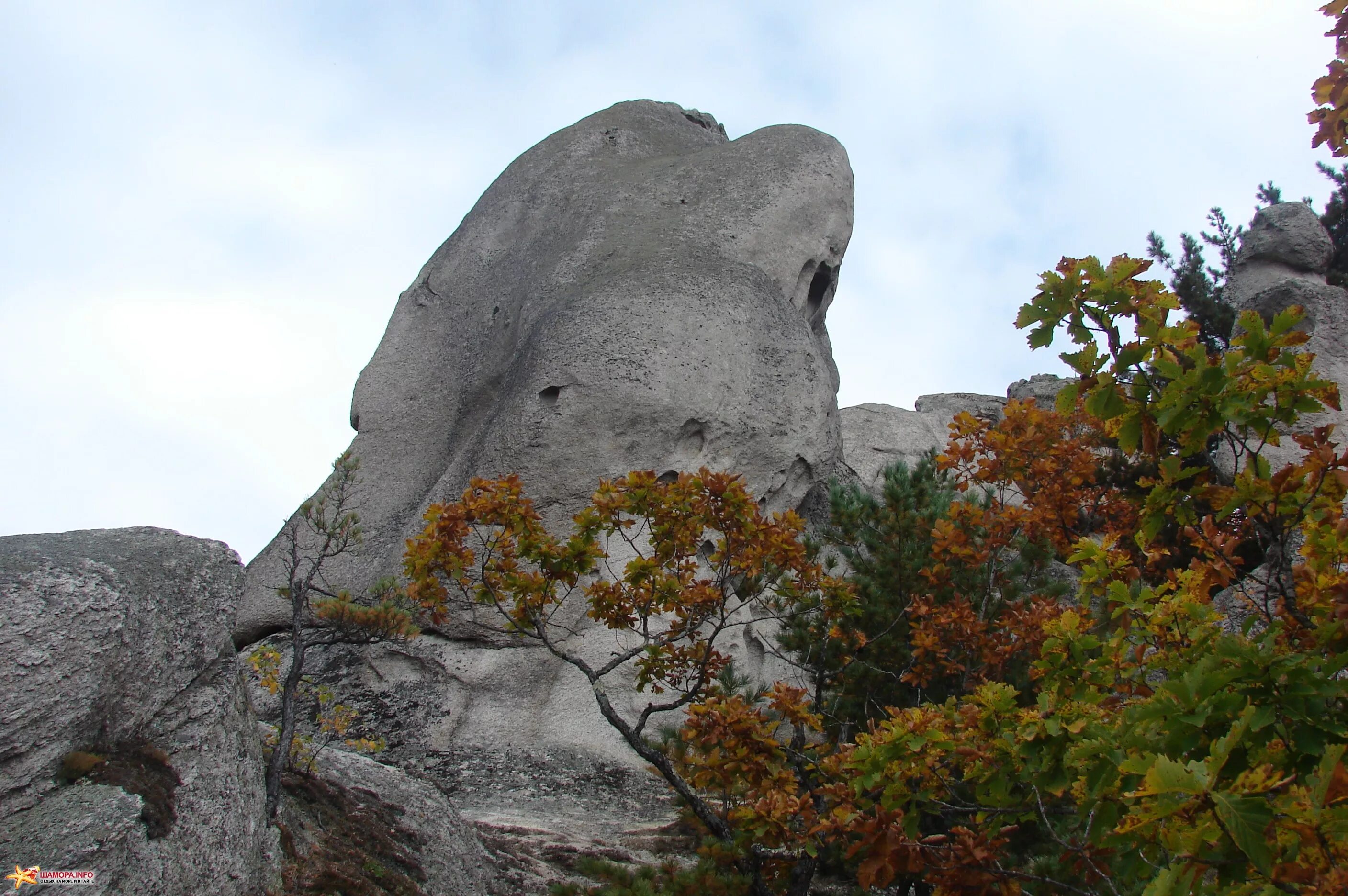 Гора круглая белокуриха высота. Круглая скала. Гигантский камень. Скала черновая белокуриха. Скала черепаха белокуриха.