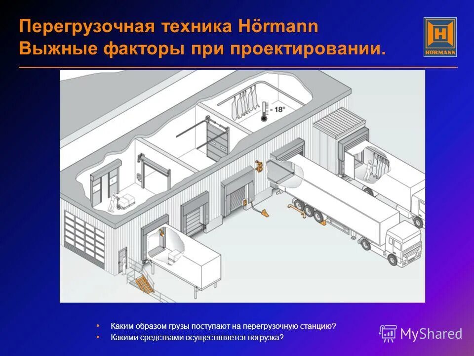 Комплекс факторов херманн. Комплекс факторов херманн