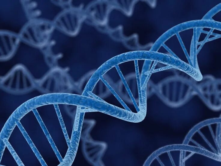 Геном человека. Хромосома. Молекула днк. Спираль днк. Dna genetic.