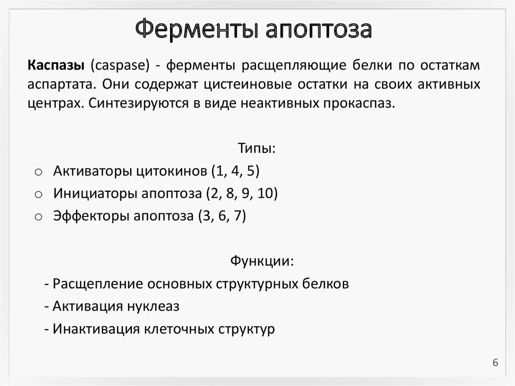 Основные ферменты апоптоза. Охарактеризуйте ферменты апоптоза.. Ключевые ферменты апоптоза. Функции апоптоза. Содержит ферменты осуществляющие апоптоз