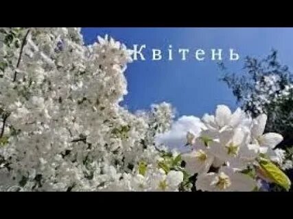 Көктебелдегі сексіміз