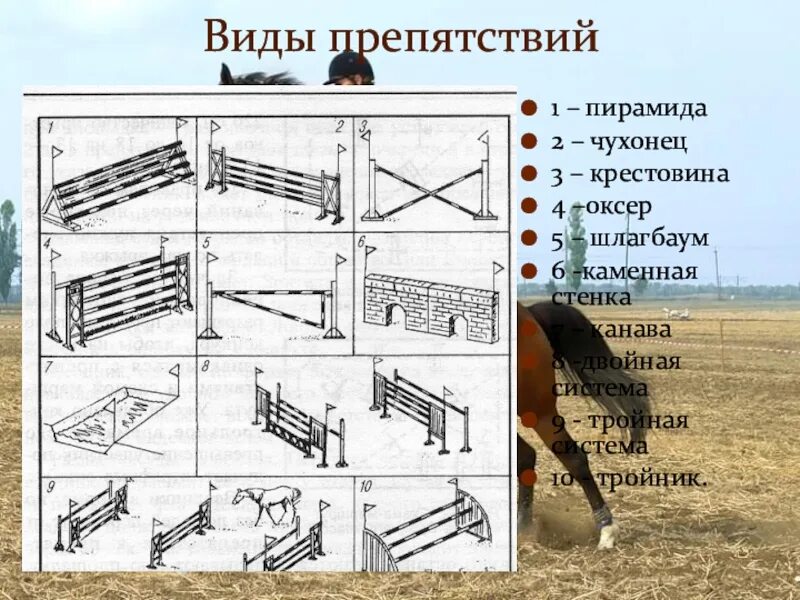 Что значит препятствие. Барьеры для лошадей. Препятствия для конкура. Чухонец вид препятствий. Барьеры для конкура.