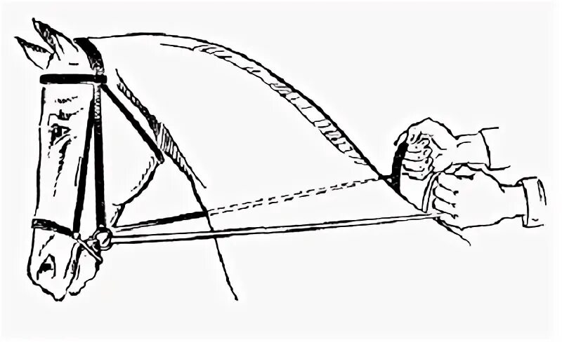 Гонит всадник коня держится за поводья смотрит. Повод для верховой езды. Конь с поводьями. Уздечка для лошади. Уздечка у коня.