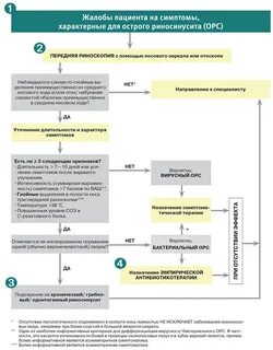 Клинические рекомендации ринит