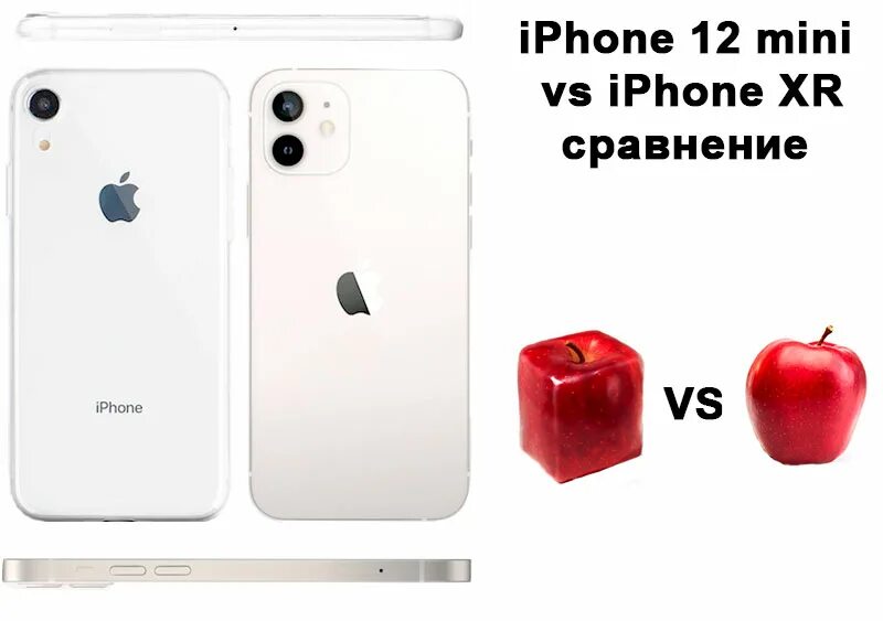 Iphone 12 сравнения. Iphone 12 Mini и iphone XR. Iphone 12 Mini vs iphone XR. Iphone XR vs 12 vs 12 Mini. Iphone 12 Mini vs 7.