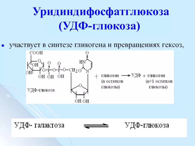 Участвует в синтезе гликогена. УДФ Глюкоза. Синтез гликогена. УДФ Глюкоза в гликоген.