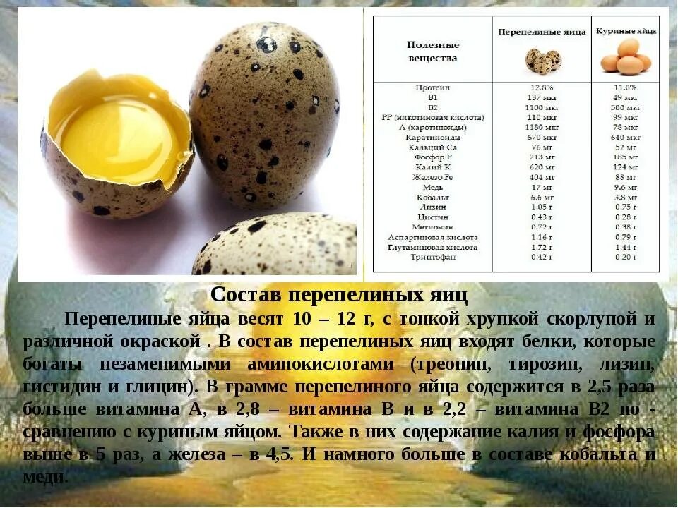 Сколько калорий в перепелином. Пищевая ценность перепелиных яиц 1 шт. Вес куриного и перепелиного яйца. Перепелиные яйца польза. Полезные вещества в яйце курином.