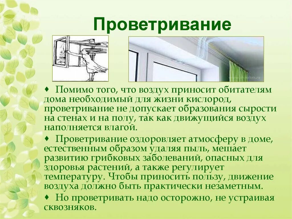 Проветривание помещений. Правильное проветривание комнаты. Способ проветривания помещений. Важность проветривания. Значение слова форточка