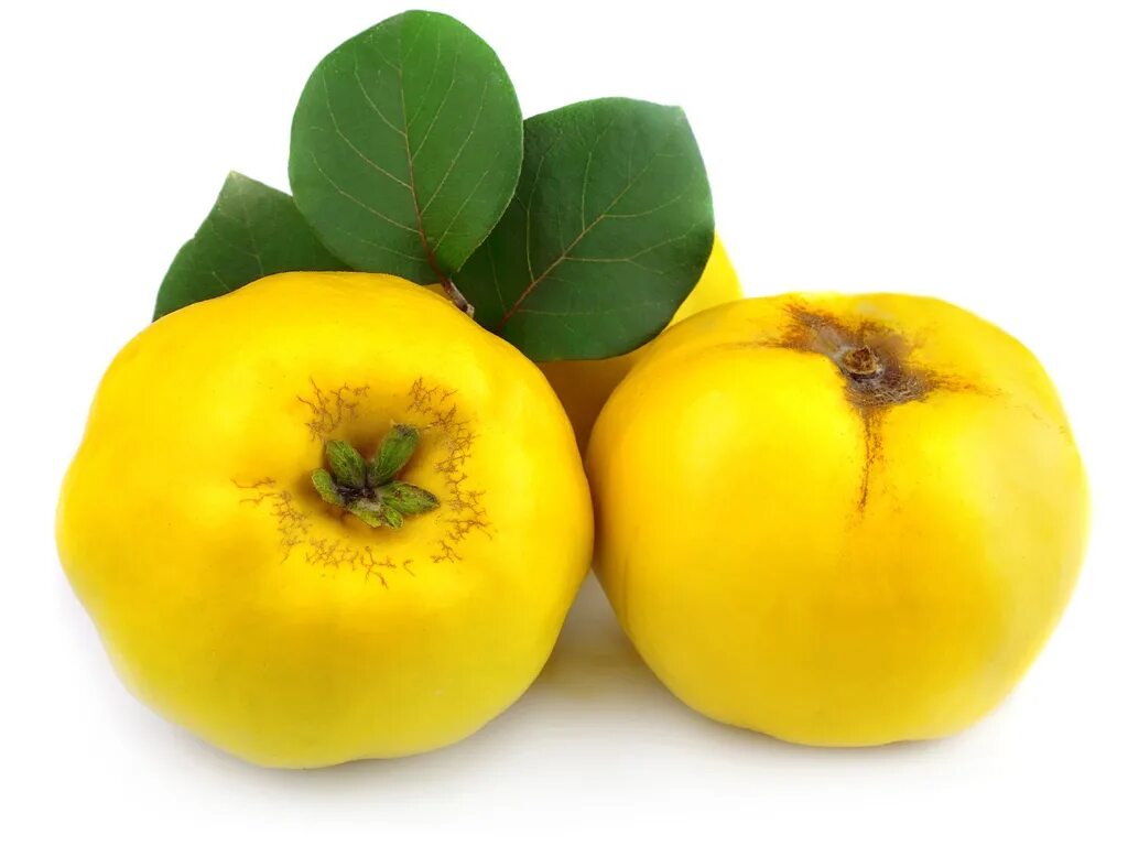 Айва таманская. Айва японская фрукт. Айва среднеазиатская. Айва плоды. Айва фрукт дерево.