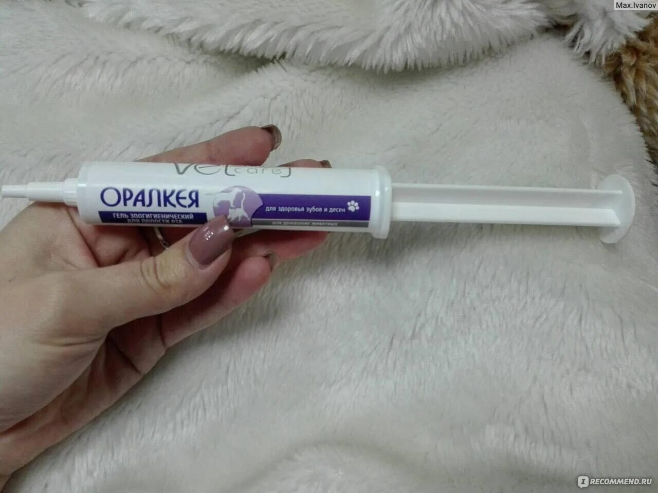 Гигиенические лосьоны для глаз собаки. Оралкея лосьон зоогигиенический для полости рта. Гель для полости рта для собак. Гигиенические лосьоны для глаз собаки. Оралкея гель.
