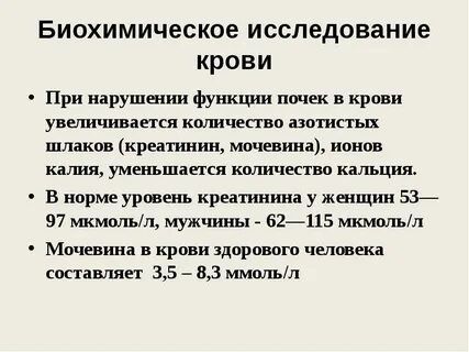 Функция почек анализы