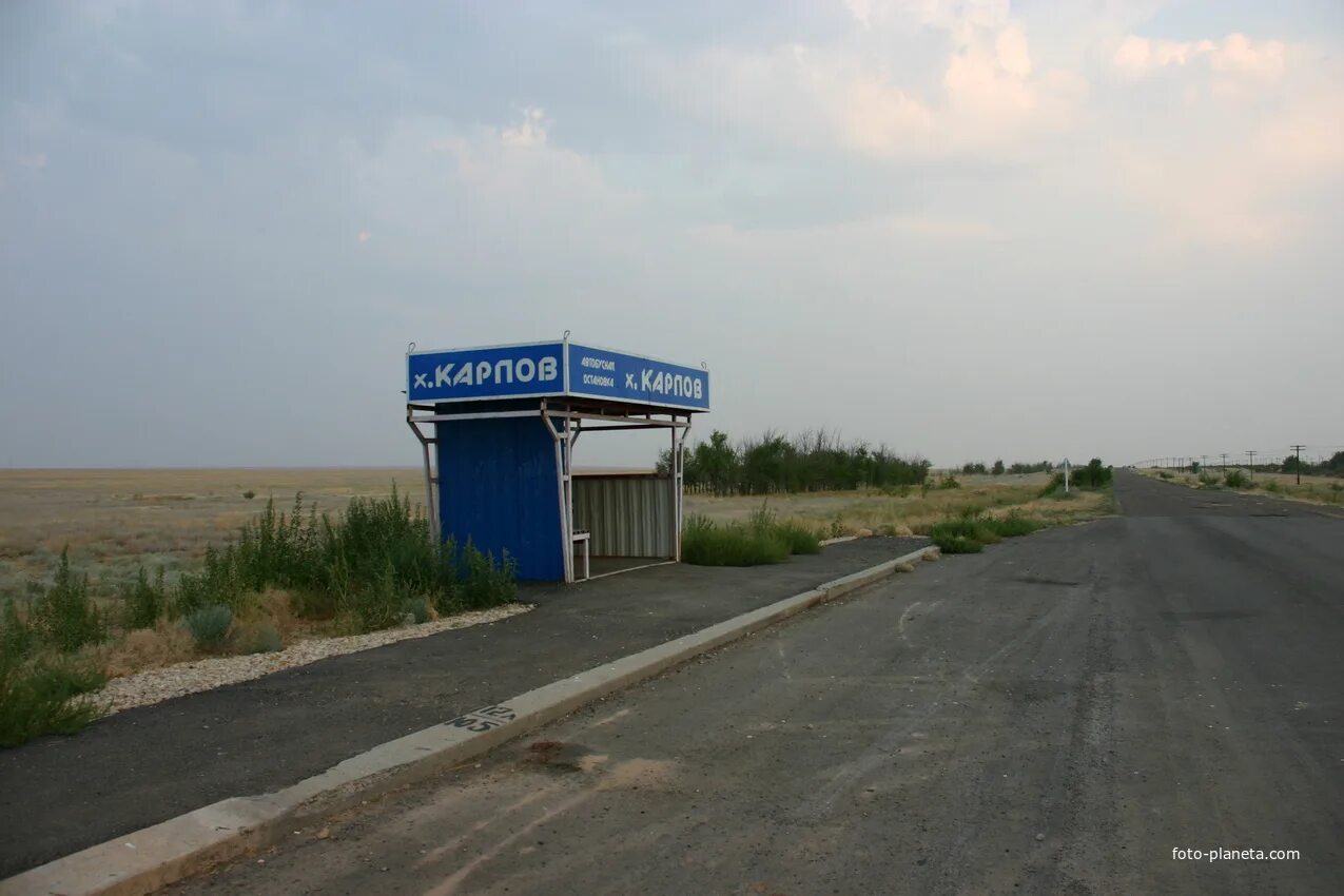 Погода золотари палласовский район. Село Золотари Палласовский район. Хутор Прудентов Волгоградская область. Карта Золотари Палласовский район. Вишневка Палласовский район.