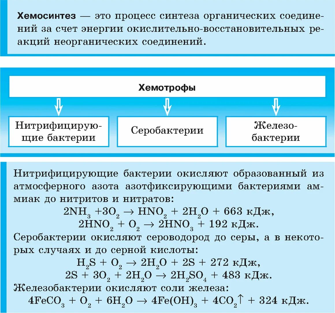 Хемосинтетики это