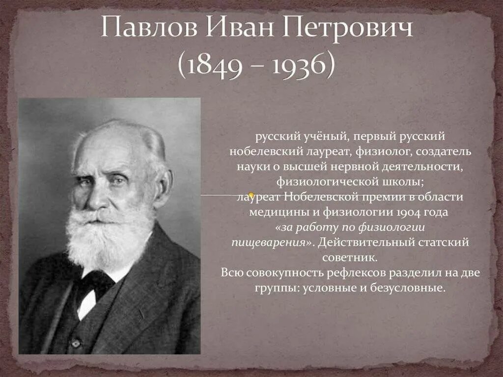 Pavlov 3. Pavlov 3