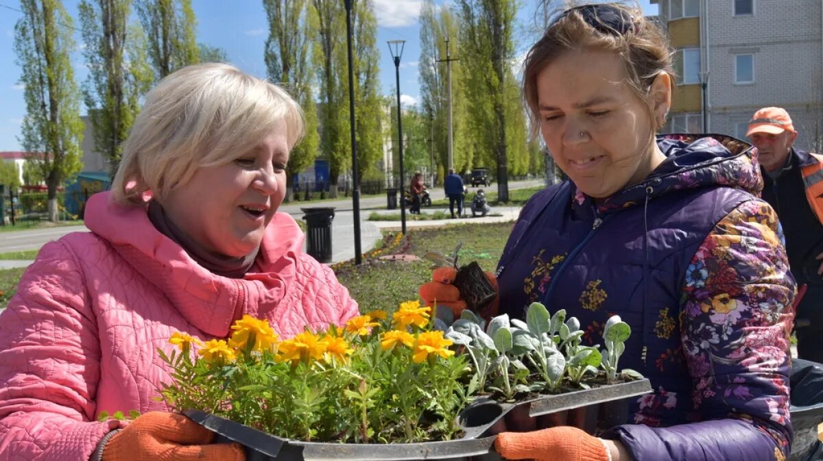 Погода поворино 10 дней воронежская область. Поворино цветы. Город Поворино Воронежская область. Подслушано в Поворино Воронежской области. Цветочные магазины в Поворино Воронежской области.