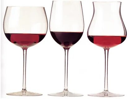 Wine glass