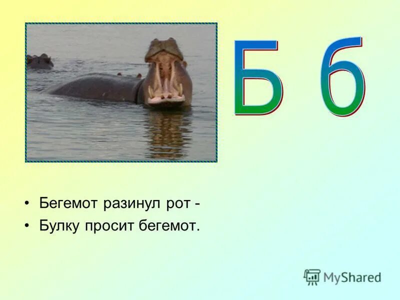 Бегемот разинул рот булку просит Бегемот. Азбука Бегемот разинул рот. Бегемот разинул. Бегемот разинул рот булку просит Бегемот стихи.